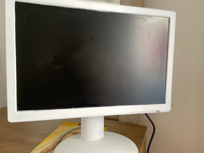 Monitor LG 19?
