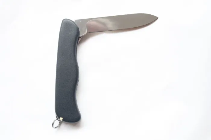 Canivete Victorinox Sentinel