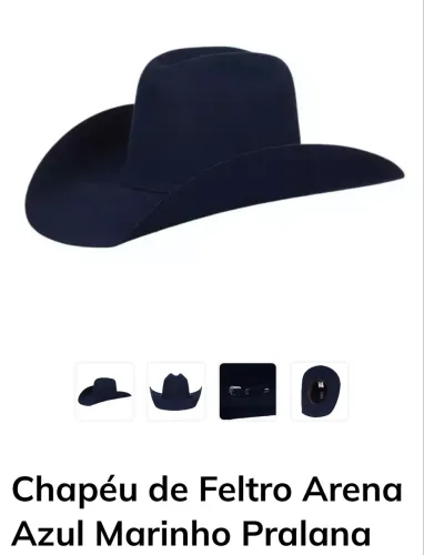 Chapéu de Feltro Arena Azul Marinho Pralana