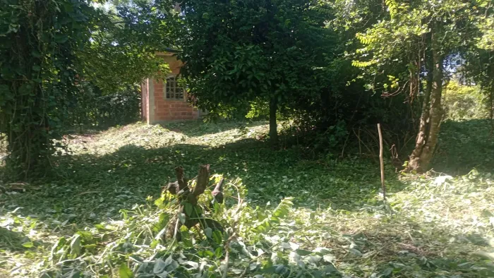 Faço serviço de limpeza de terrenos sítios e condomínios em Guapimirim 