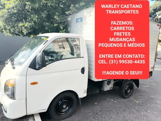 Carreto fretes e viagem 