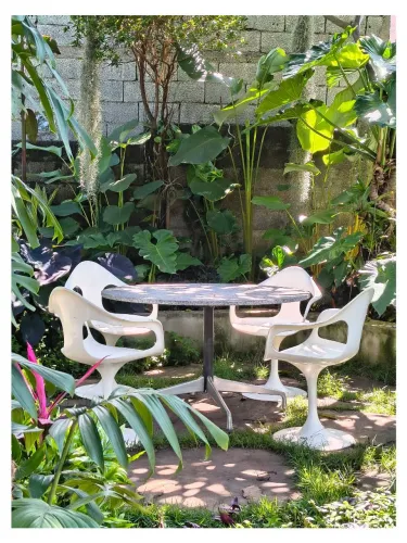 Cadeiras vintage piscina