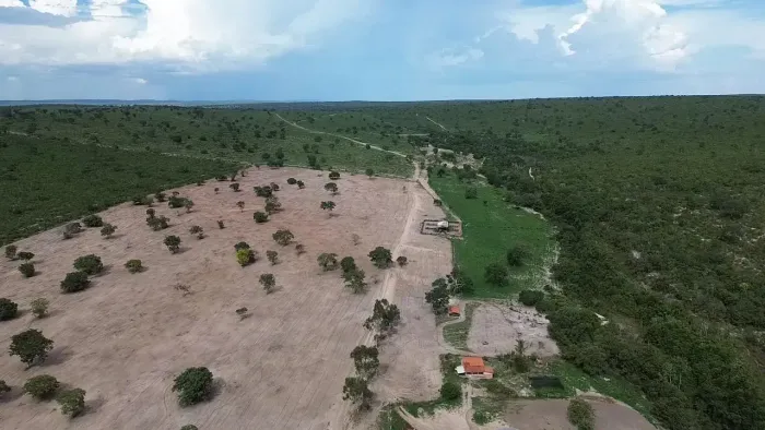 Fazenda à Venda na Região de Novo São Joaquim - MT | 1.161 Hectares Terra Plana