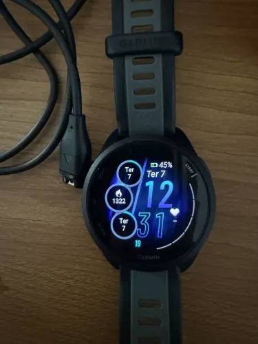 Garmin 165