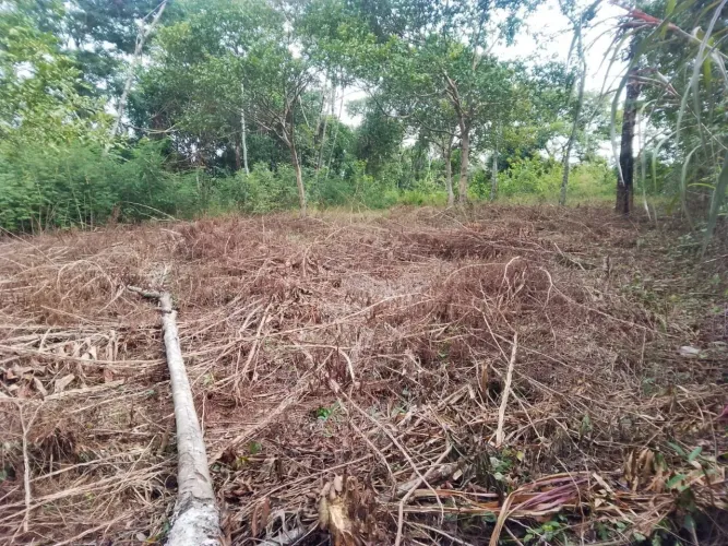 Terreno com escritura e RGI