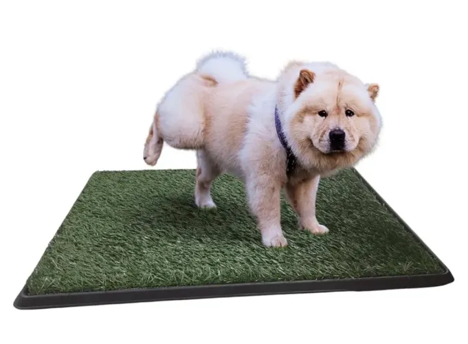 Sanitário higiênico para cães Chalesco