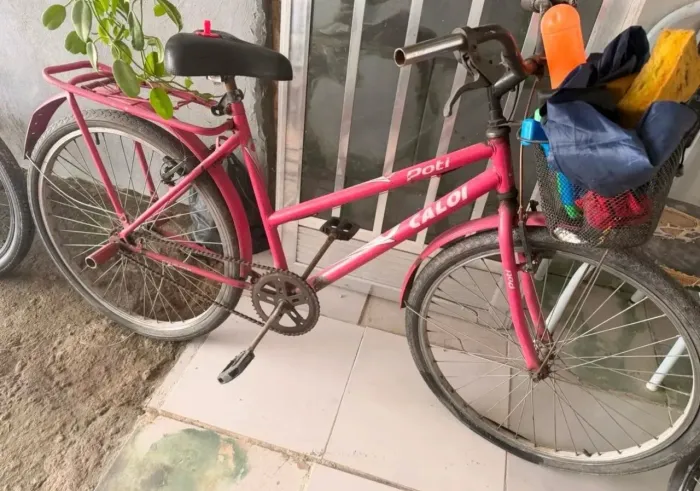 Bicicleta adulto