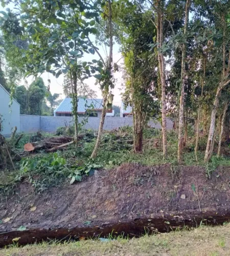 Terreno Barra Velha - Quinta dos Açores Rua da Escola 348 mt²