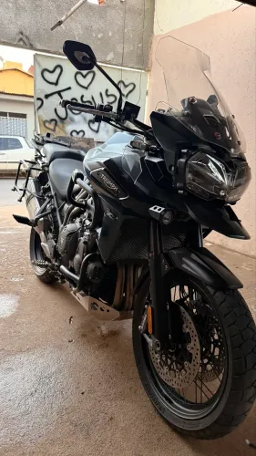 Tiger de altíssima qualidade viu