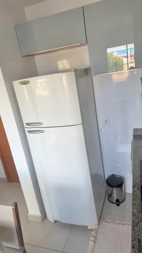 Geladeira Eletrolux DC48
