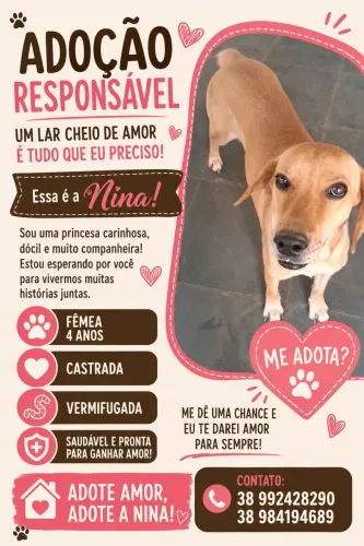 Nina esta a procura de um lar cheio de amor!