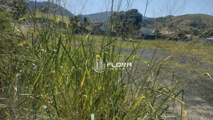 Terreno à venda, 6600 m² - São José de Imbassai - Maricá/RJ