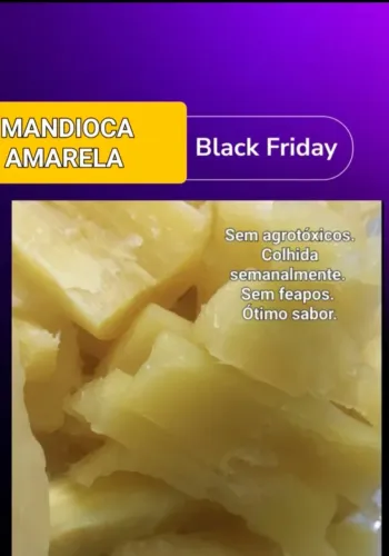 MANDIOCA AMARELA NOVINHA 