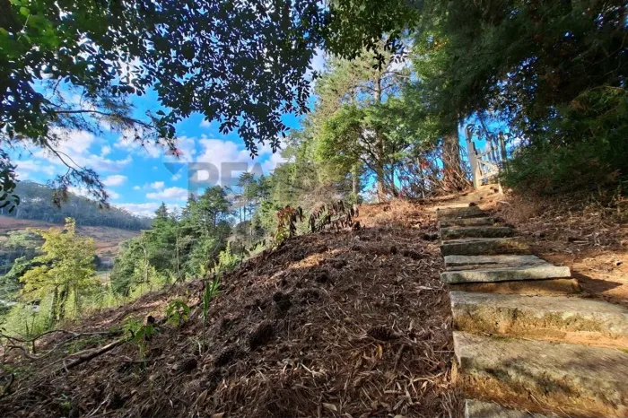 Terreno à venda com 1.800m² - Rua sem saída - próximo ao Centro - Varginha, Nova Friburgo/