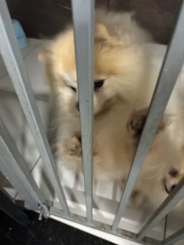 Estou vendendo pois vou mudar - valor símbolo de 500 cada 