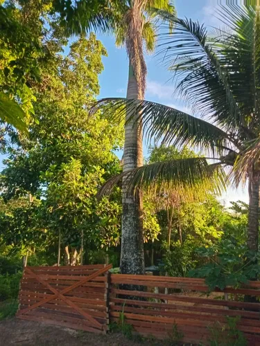 Sitio com duas tarefas e meia com uma pequena casa