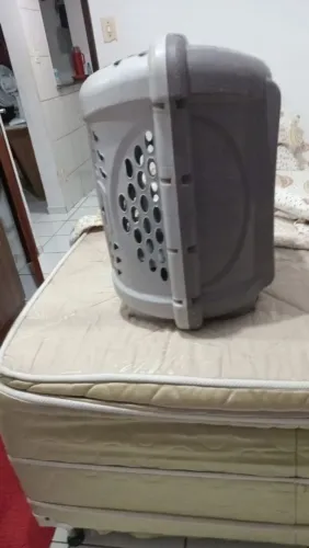 Casa de cachorro