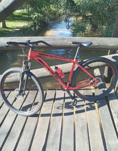 BIKE OGGI ARO 29 QUADRO 19