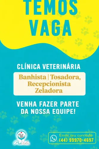 Vagas em Clínica Veterinária - Recepção, Banho/Tosa e Zeladoria