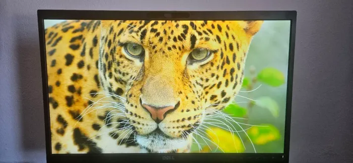 Vendo monitor Dell 24 polegadas