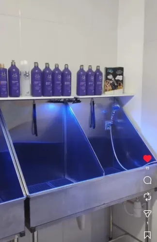 Banheira INOX C/ Divisória - Banho e Tosa