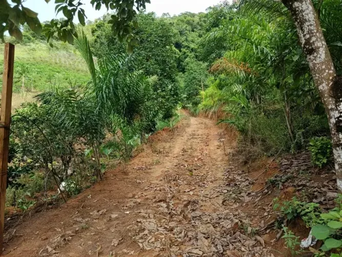 CHÁCARA EM VIANA