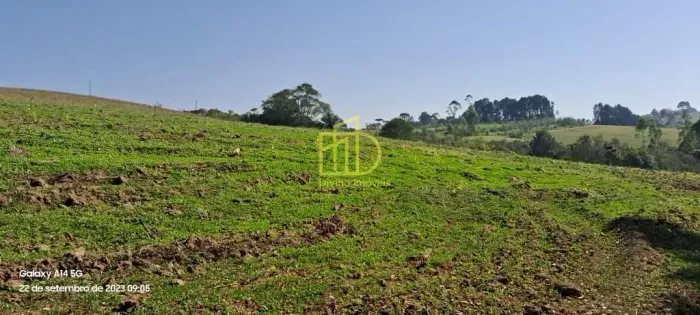 Sítio com 3 dormitórios à venda, 72600 m² por R$ 830.000 - São Miguel Arcanjo/SP