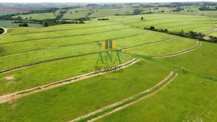 FAZENDA MARAVILHOSA À VENDA ITAPETININGA SP