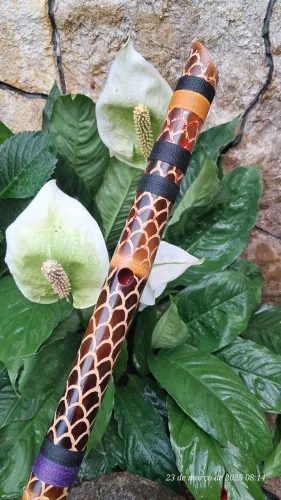 Flauta de Bambu afinada em Do 