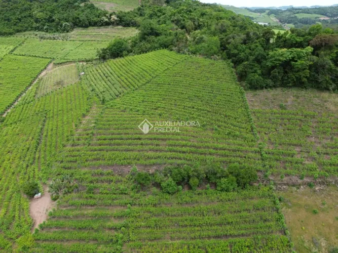 Área de Terra em Monte Belo do Sul RS com 9 hectares, casa e plantações. Lindo lugar para
