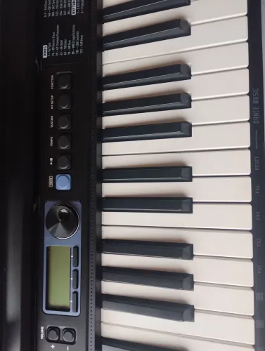 Teclado ? casiotone CT-S 300