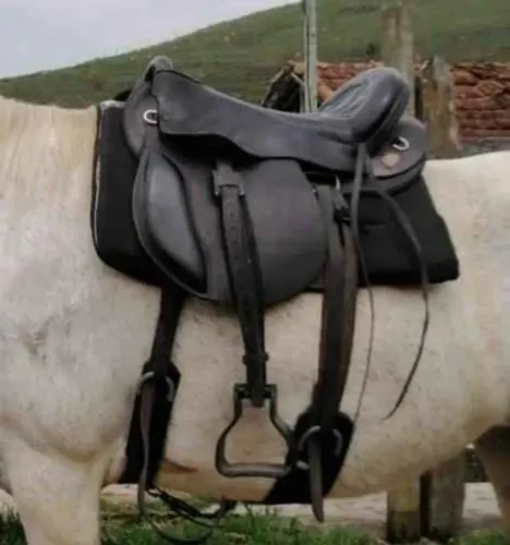 Sela para cavalgada