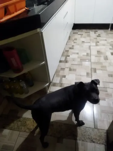 Doação