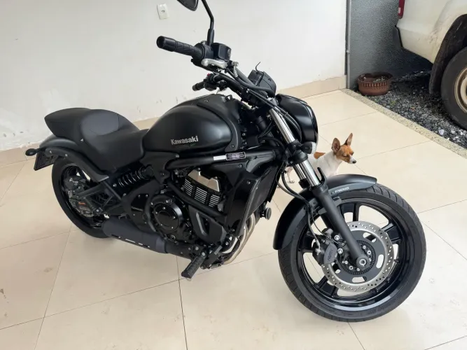 Vulcan 650s