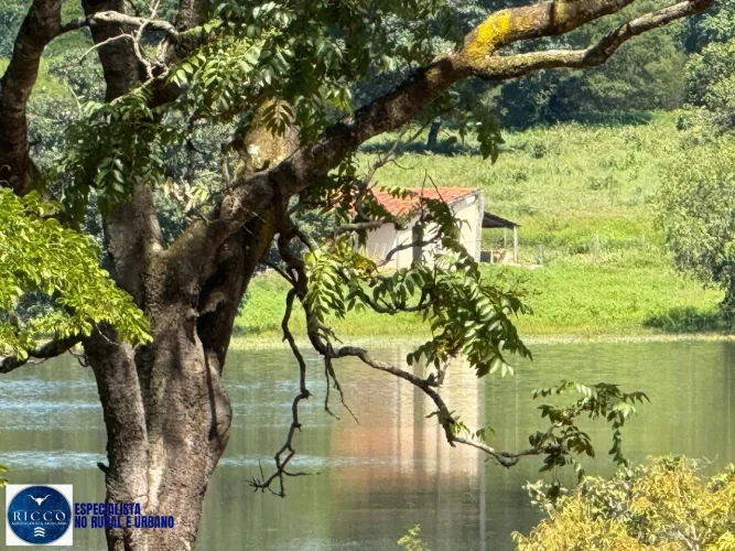 Fazenda Agropecuária à Venda em São João da Aliança - GO | 2.475 Hectares