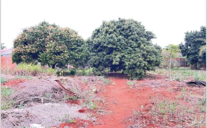 Terreno | Rolândia