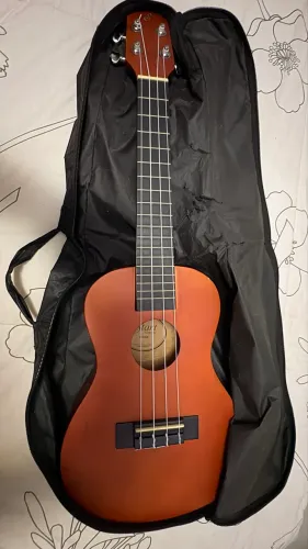 Ukulele barato pra ir logo