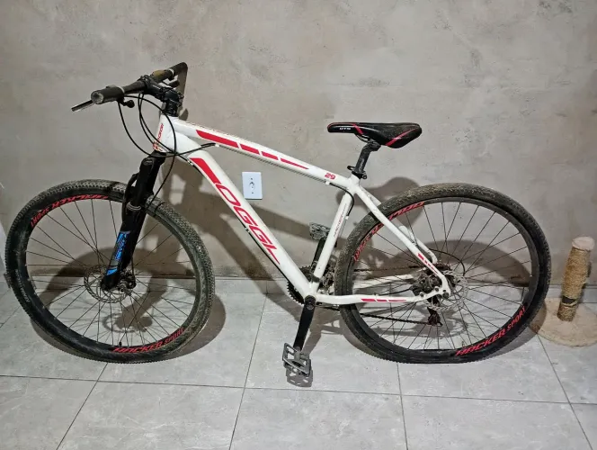 Bicicleta 29