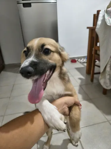 Doação