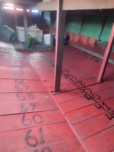 Barco de madeira 