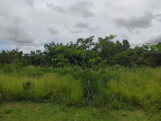 Reserva 84 ALQUEIRES Planaltina Goiás documentação ok