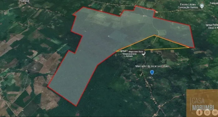 Fazenda a venda com 19.500.000 M² ou 1950 Ha em Belèm do Pará perto da rodavia