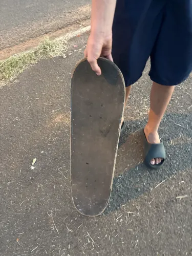 shape wood light skate bem gasto