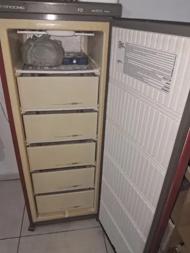 freezer vertical prosdocimo