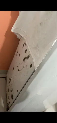 Vendo geladeira e fogão urgente