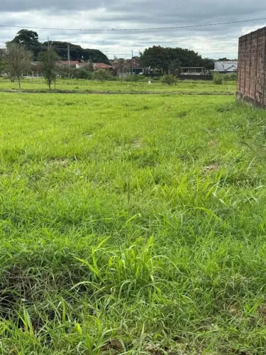 Lote/Terreno para venda possui 150 metros quadrados em Jardim América - Maringá - Paraná