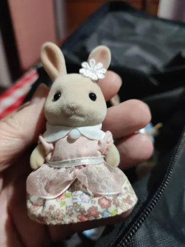 Family sylvanian lote