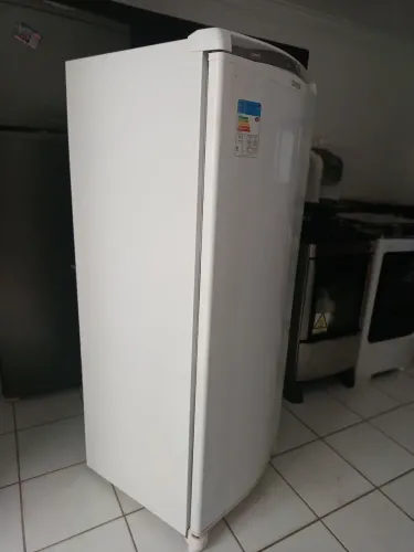 Geladeira frost free facilit 300lts