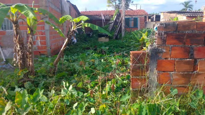 Terreno