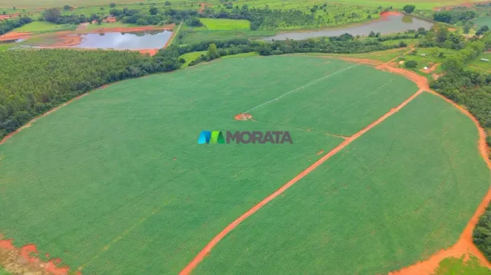 FAZENDA À VENDA - 167 HECTARES - CAETANÓPOLIS (MG)